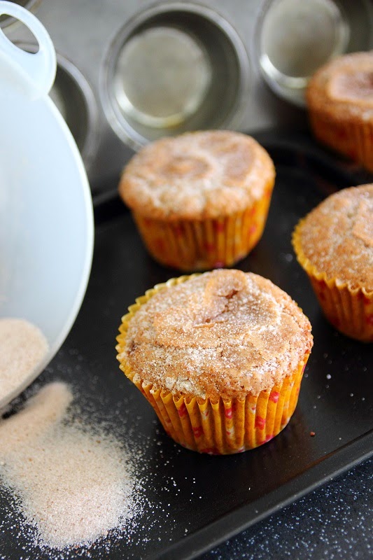 Deb's Dust Bunny Applesauce Spice Muffins
