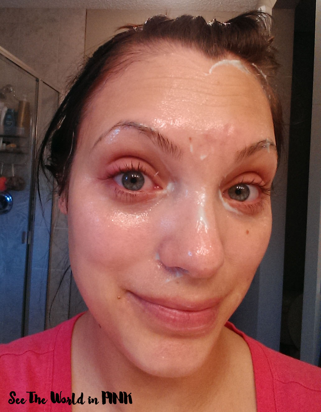 Skincare Sunday Product Review The Face Shop Mugwort Herb Day Massage