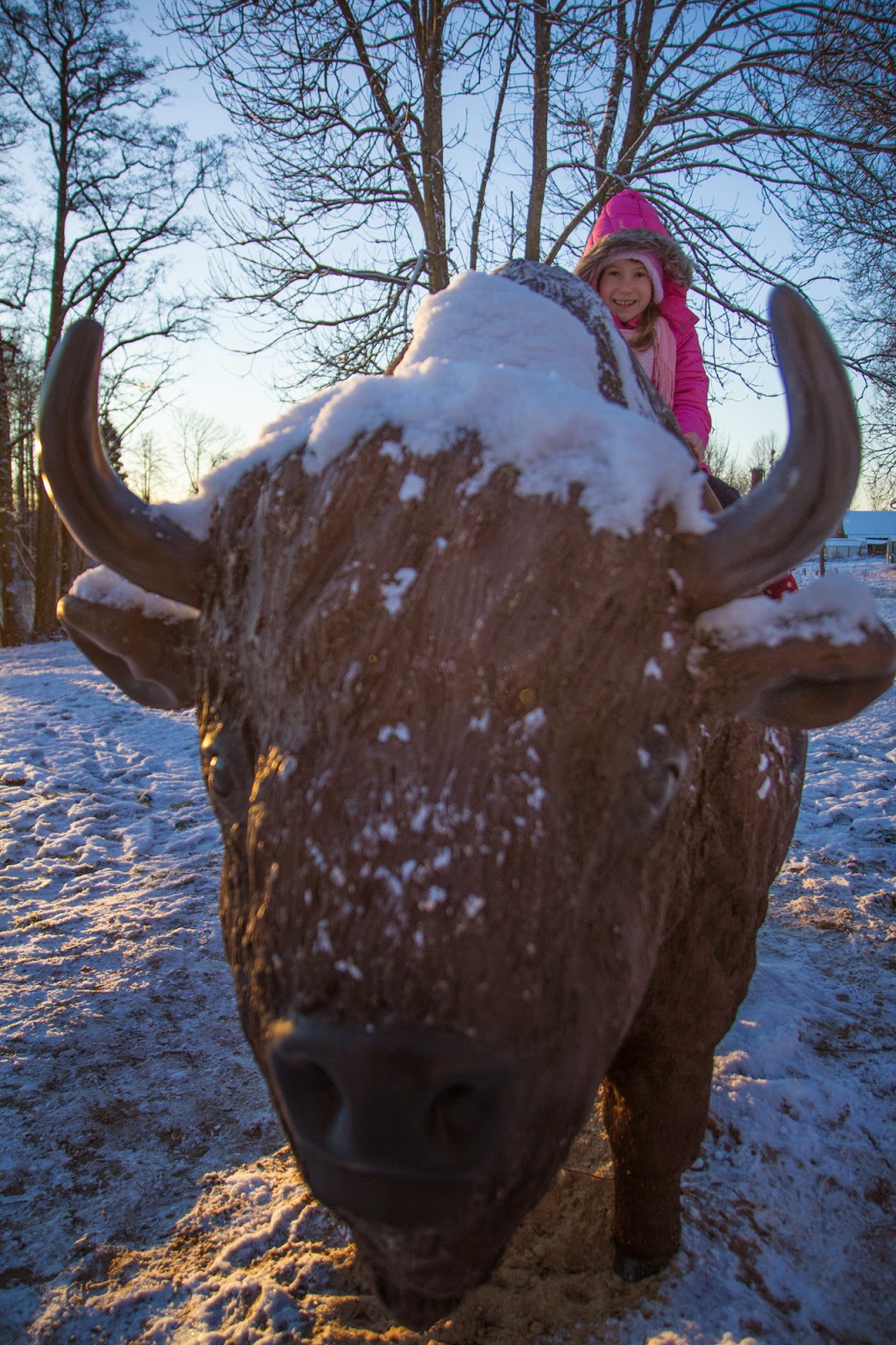 Gwiazdka w Puszczy - Ania w Podróży