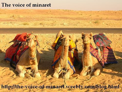 Тhe voice of minaret