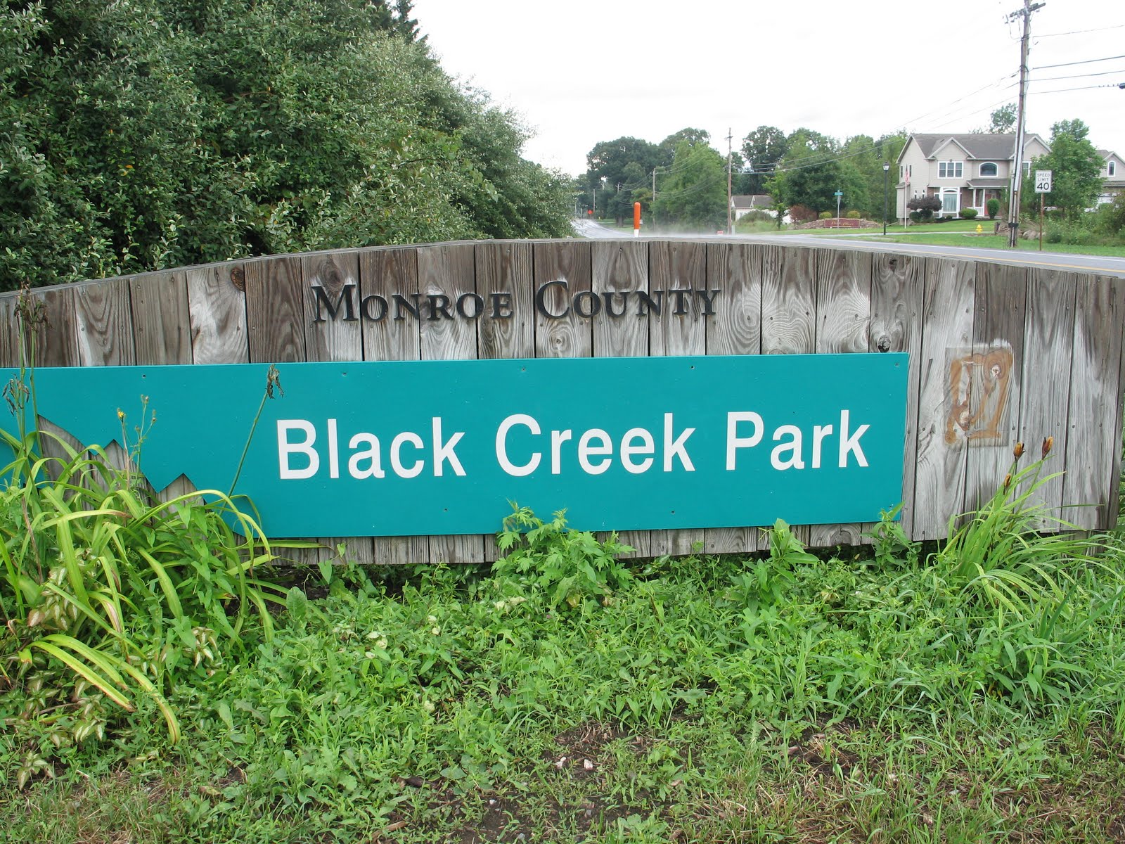 Sherry's Place A hike in Black Creek Park