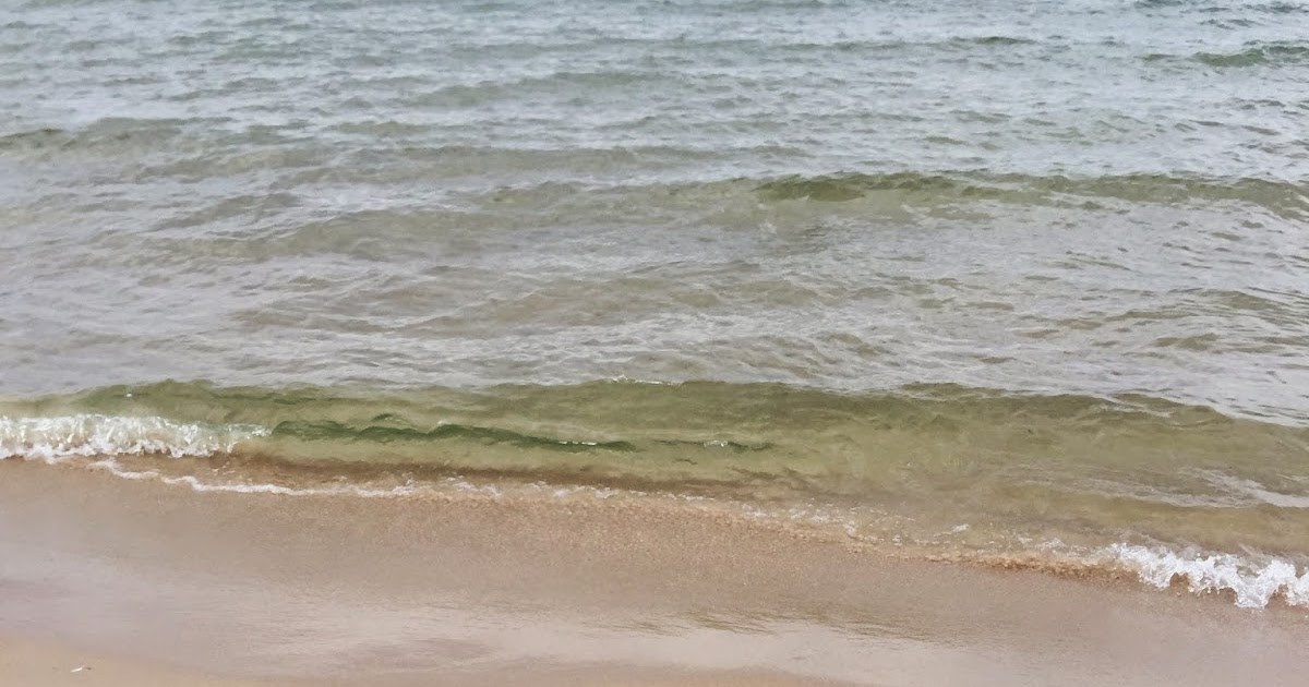 5 Outdoor Summer Dates To Try Fashion meets Food