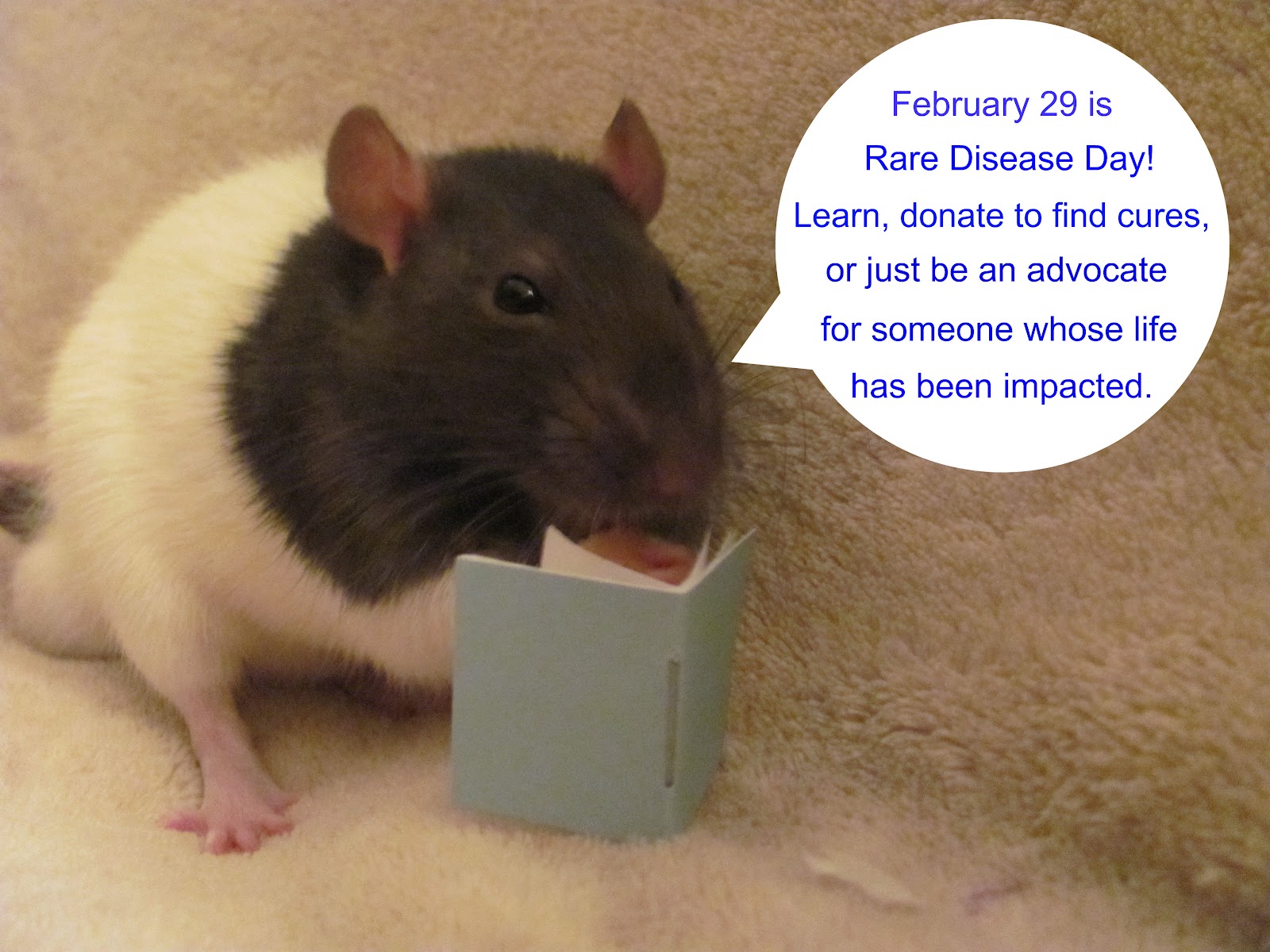 Ringo's Rat Tales Rare Disease Day