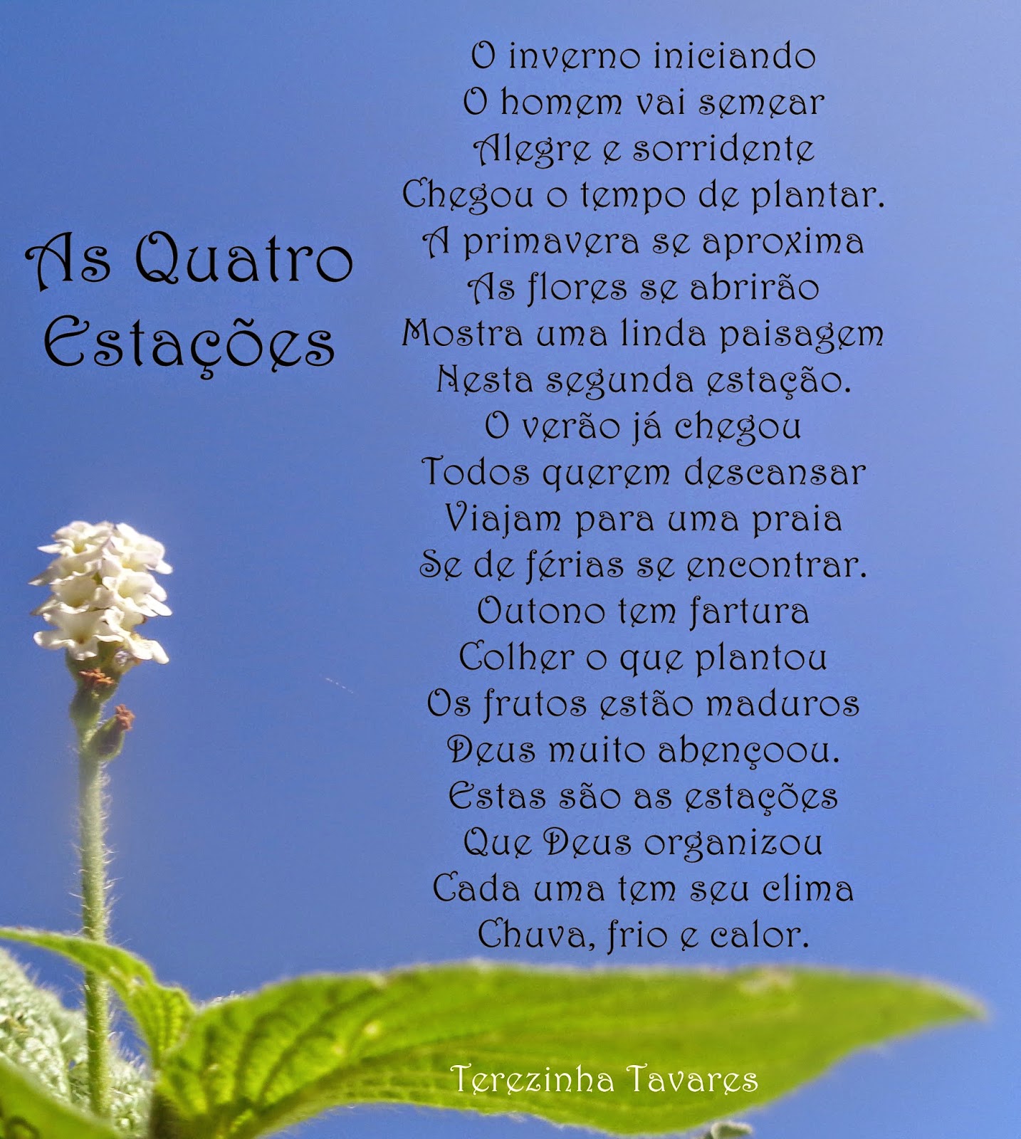 Terezinha Tavares Maio 15