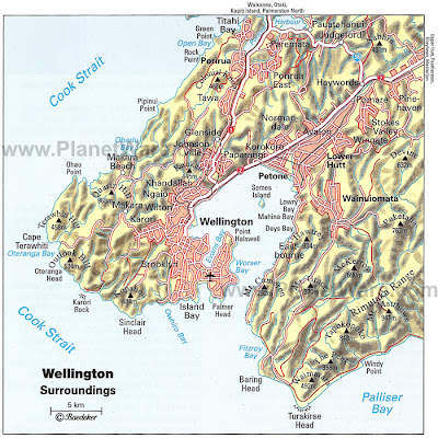 Political Map of Wellington New Zealand