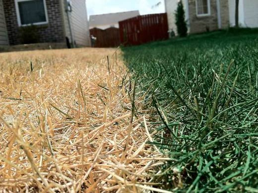 Caring About Our Neighbors As Expected >> Do What You Can It S The Least God Expects Of You Robwilkerson Net Caring About Our Neighbors As Expected >> Do What You Can It S The Least God Expects Of You Robwilkerson Net