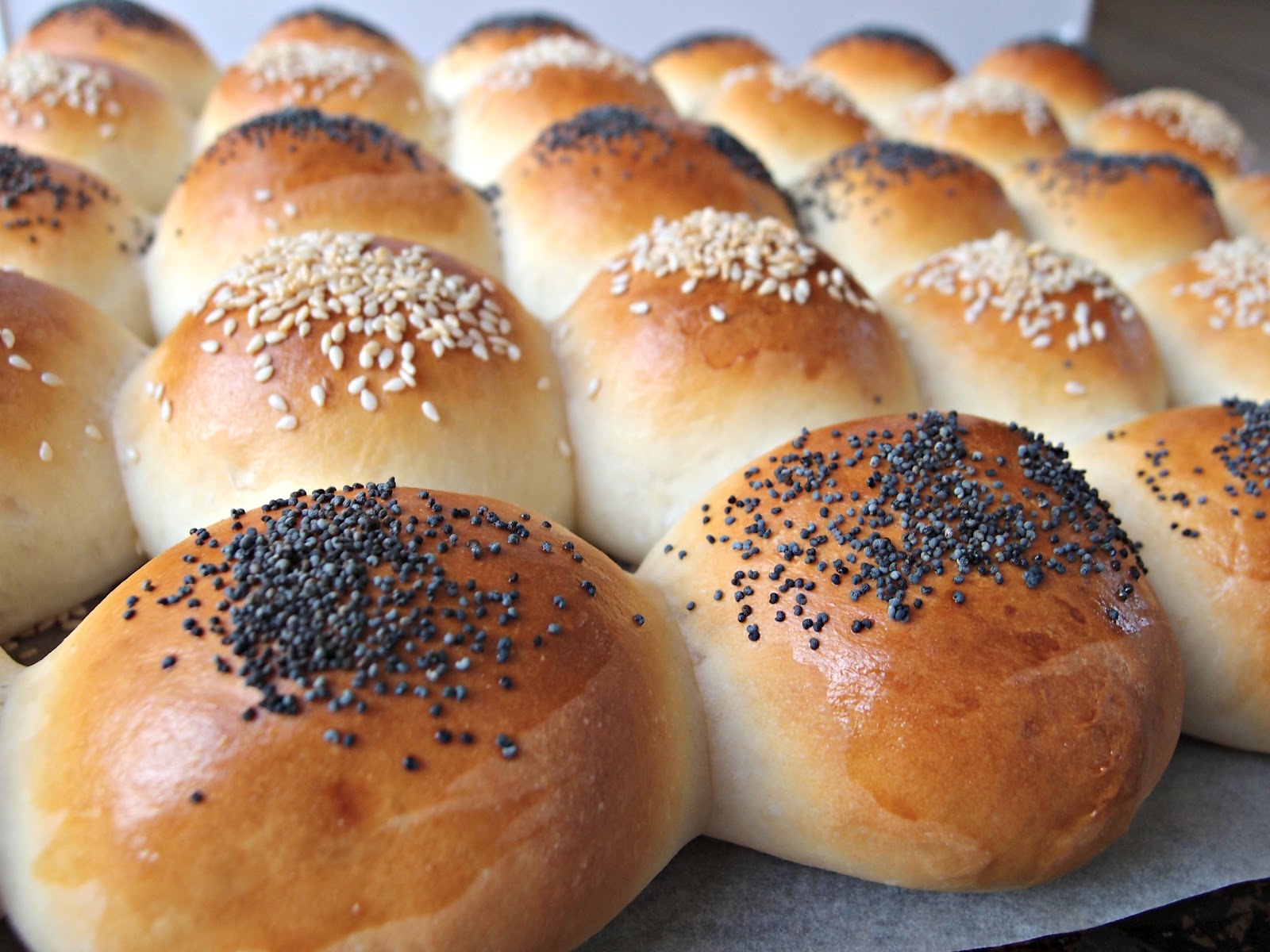 Milk and Honey Soft White Dinner Rolls