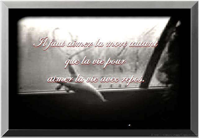 Une citation mort amour Une citation mort amour