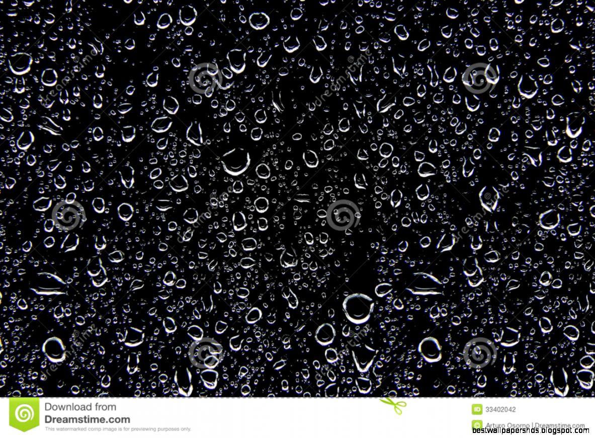 No Water Drop Black Background No Water Drop Black Background