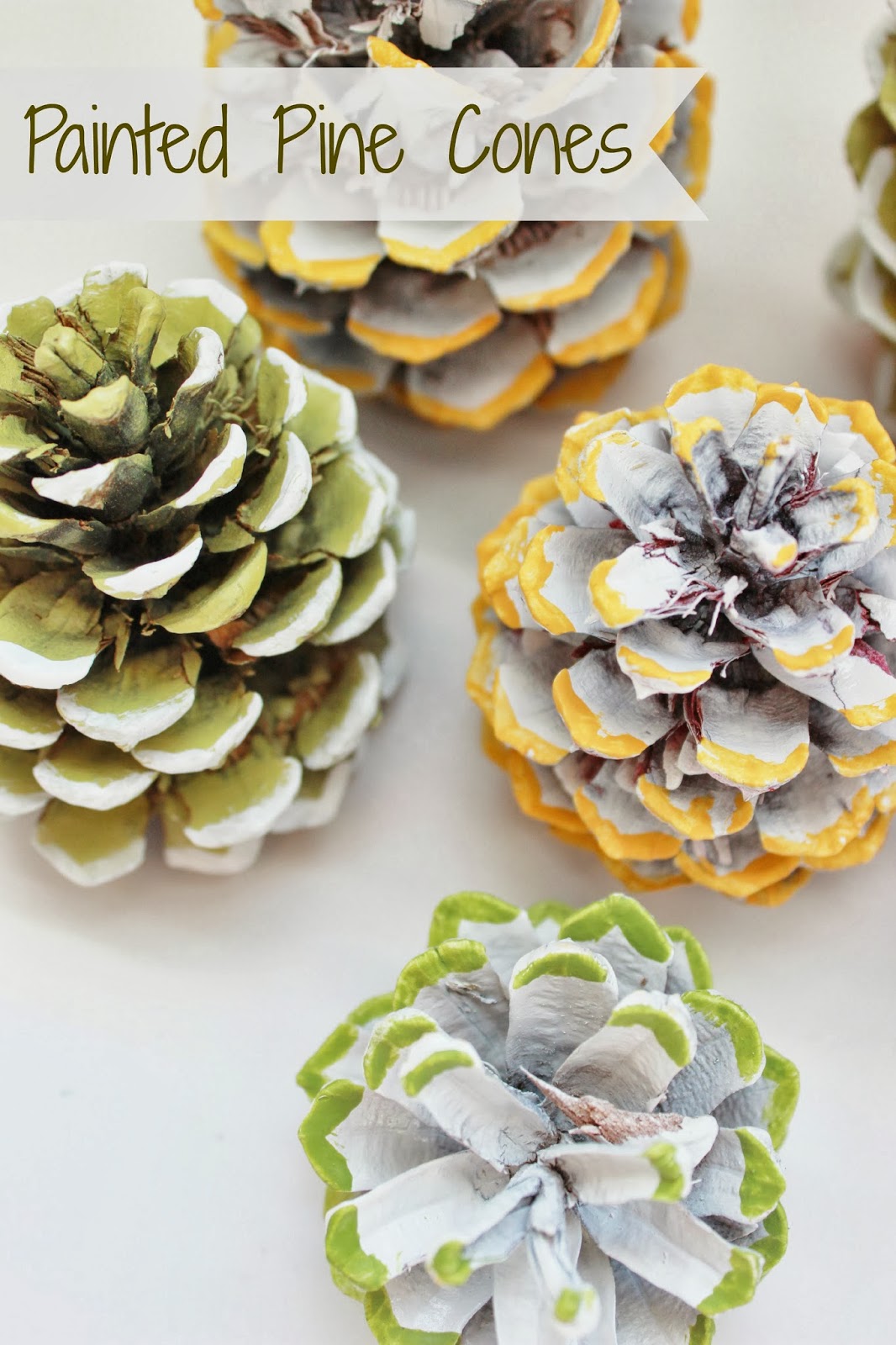 Painted Pine Cones..... Delightfully Noted