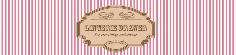 Lingerie Drawer