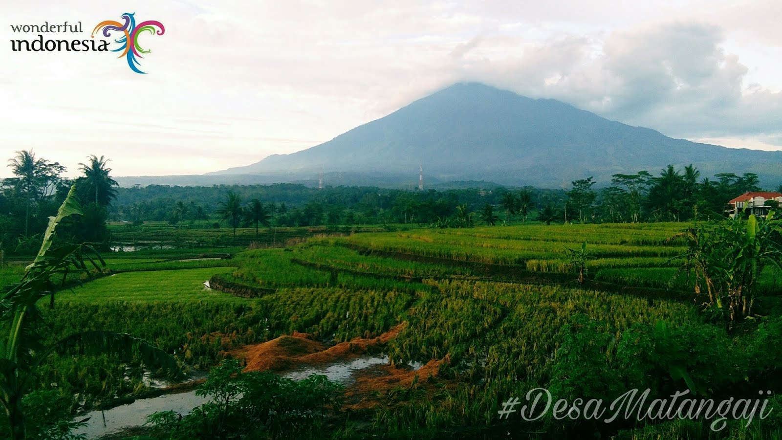 DESA WISATA MATANGAJI CIREBON