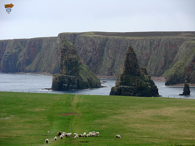 Duncansby Stacks