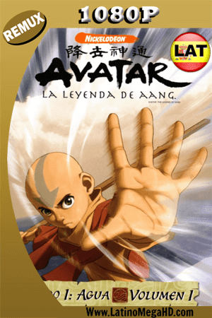 Avatar: La Leyenda De Aang (2005) Temporada 1 Latino HD BDREMUX 1080p ()