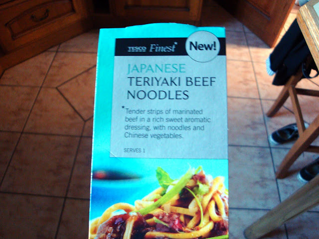Teriyaki Beef Dippers