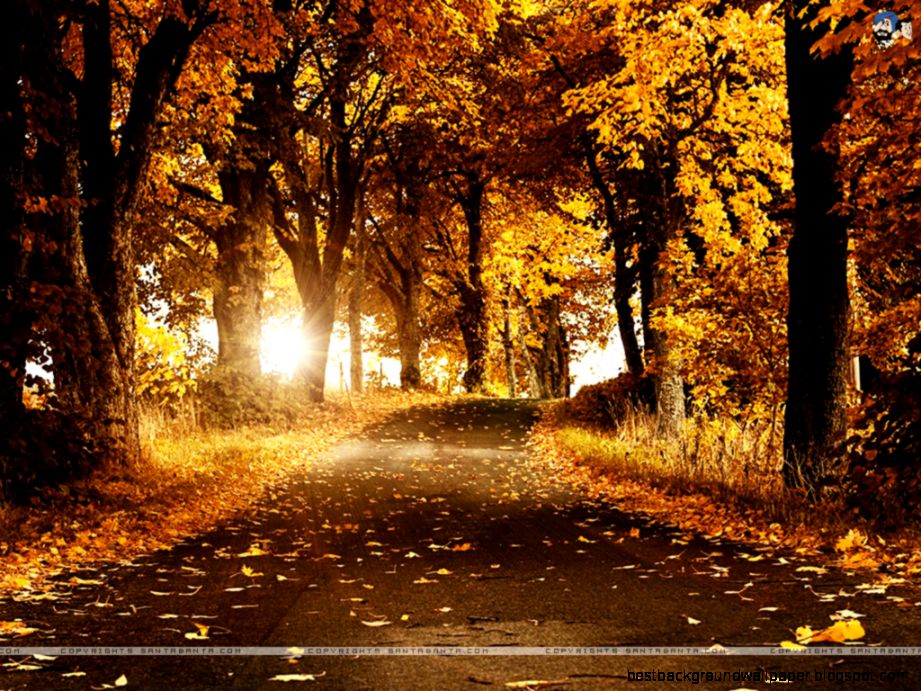 Landscapes Wallpaper 203 Landscapes Wallpaper 203