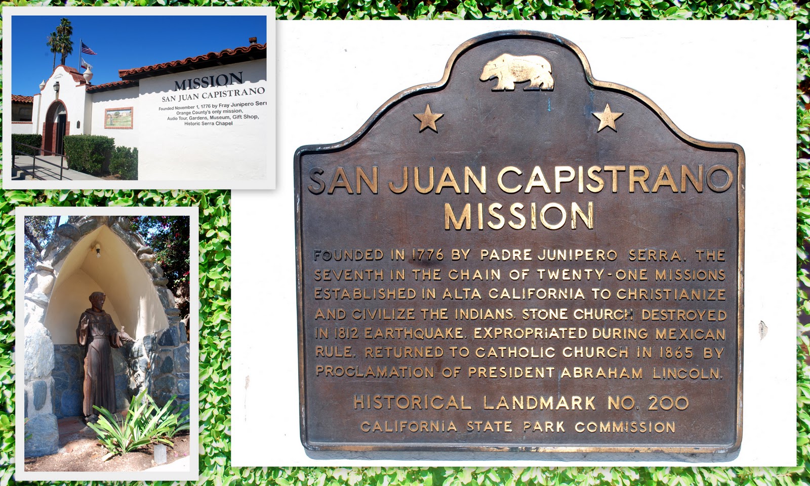 Mille Fiori Favoriti Mission San Juan Capistrano