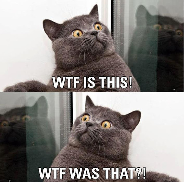 http://3.bp.blogspot.com/-KDTNcdhcR3M/UGiUIgkAc2I/AAAAAAAAJIw/ItIzdbSV4jk/s640/cat+wtf+was+that