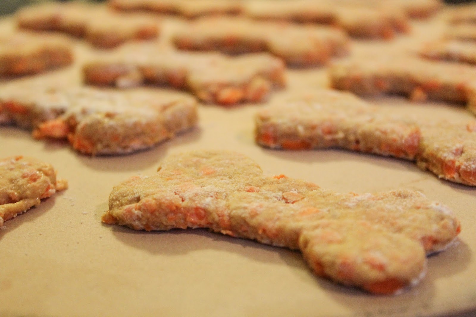 Taking Notes...Coast to Coast DIY All Natural Carrot & Banana Dog Treats