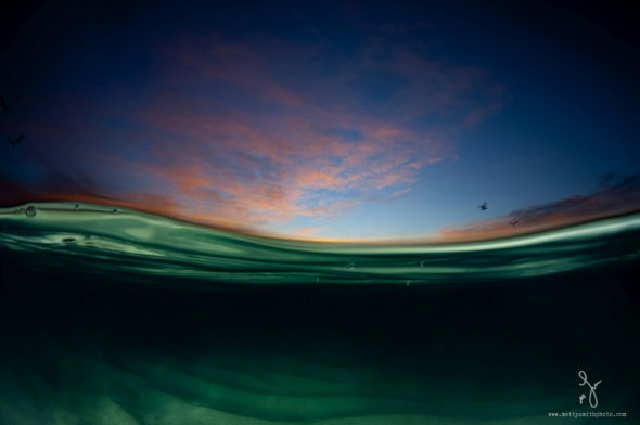 As lindas fotografias da natureza tiradas na linha da água de oceanos de Matty Smith Matty Smith fotografia natureza na linha d'água over-under vida marinha luz