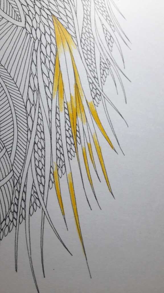 Maarte By Nina How To Color Feathers ( Tutorial )