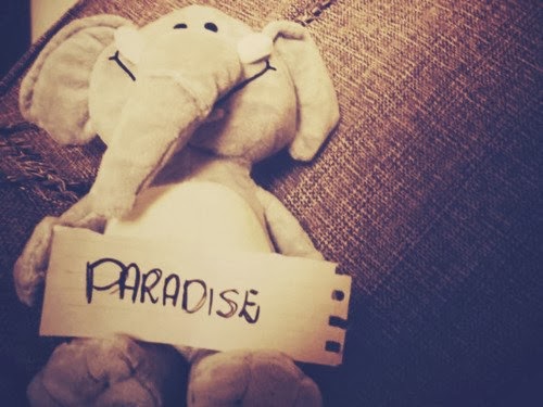 Mi paraíso :)