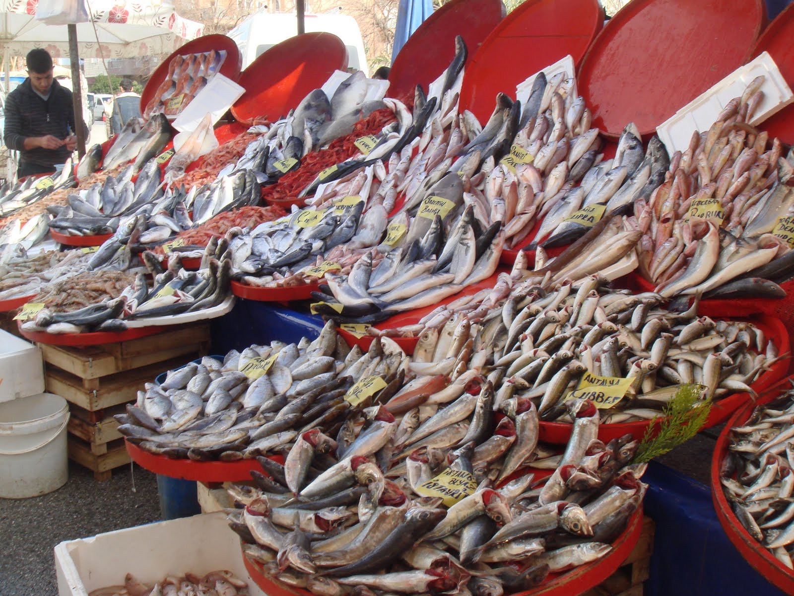 TATİL ALTERNATİFLERİ 2. Gün Antalyanın Sahilini Ve Yemeklerini Keşfe