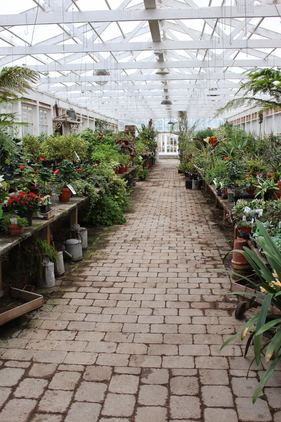 Rooted In Thyme Christianson's Nursery in Mt. Vernon, Washington and