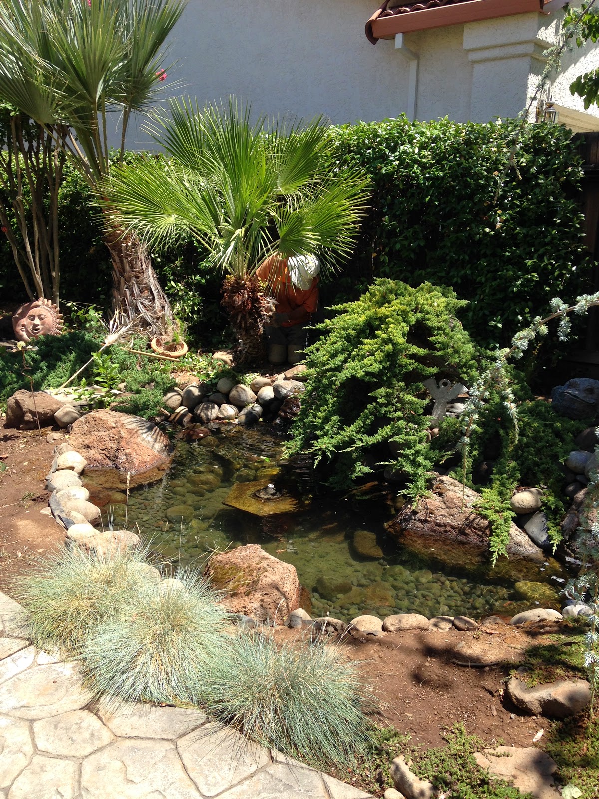 Hobbies To Live By Benefits of Watering Your Garden with Pond Water