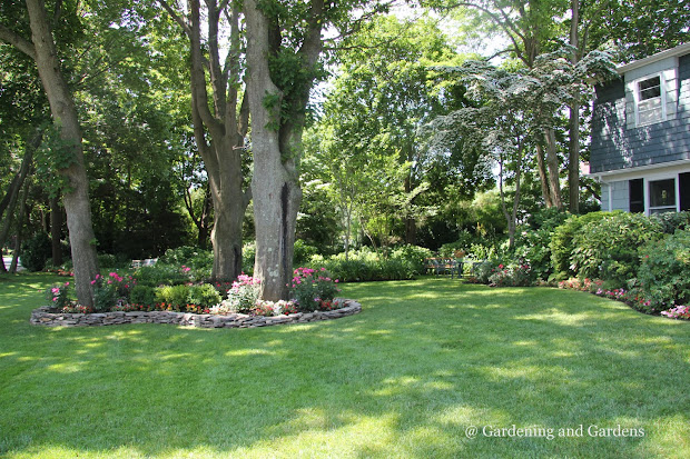 gardening and gardens july 2011