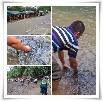 SABAH : TAGAL FISH KG LUANTI