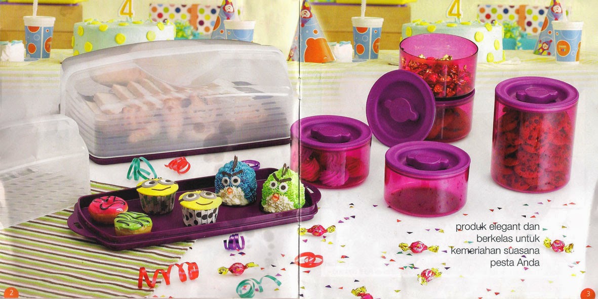 Tupperware Activity 2013