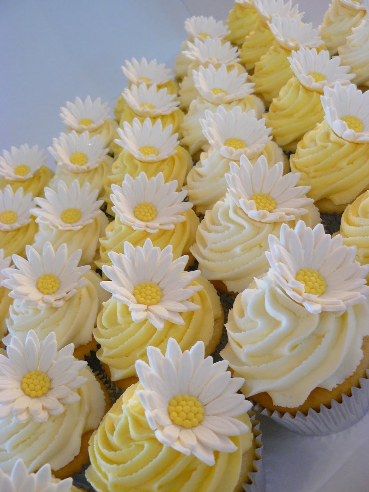 The Cup Cake Taste Brisbane Cupcakes Daisy Cupcakes