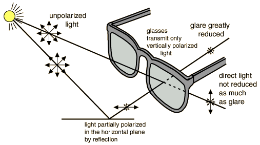 Polarized Lens - Most Famous Ultra Sight Lens