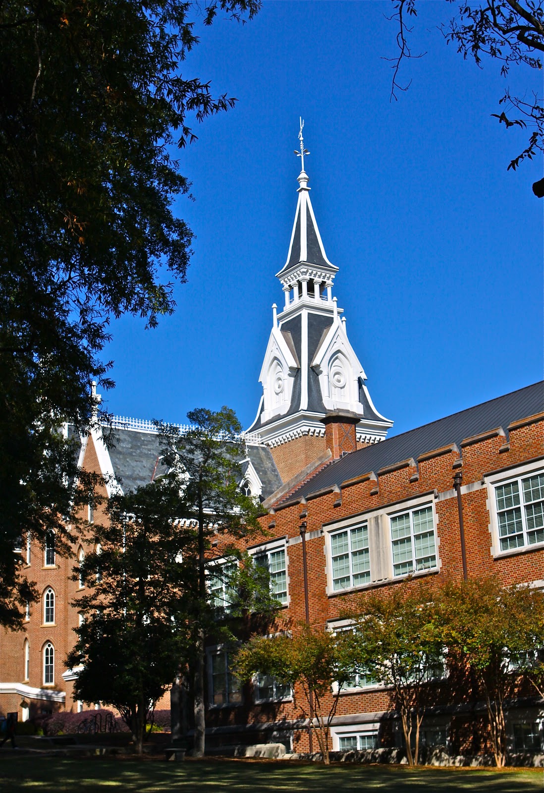 sweet southern days mercer university in macon georgia south university georgia