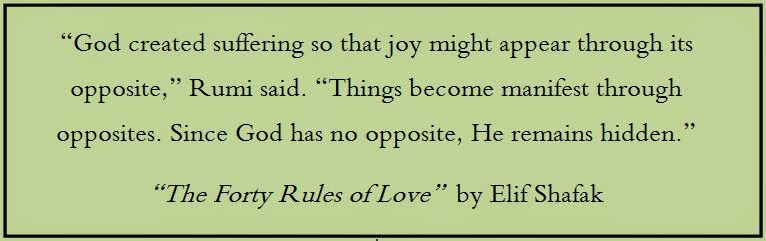 A Horizon Drift: Forty Rules of Love Quotes (2) - Joy through Suffering