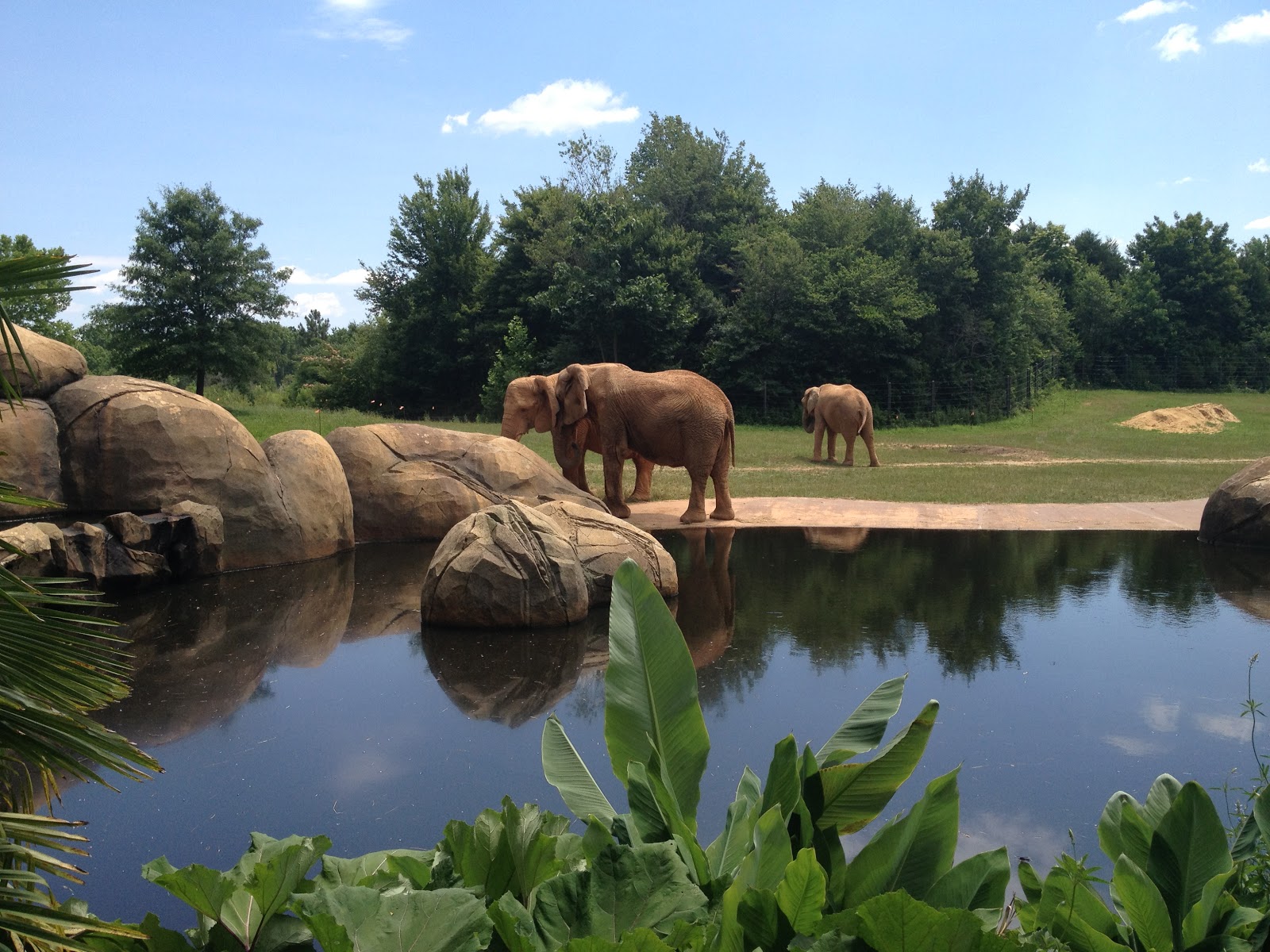 All This and That Too North Carolina Zoo Asheboro, NC