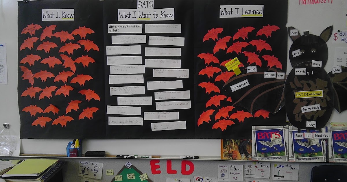 I Heart Teaching 365! Batty Fun!