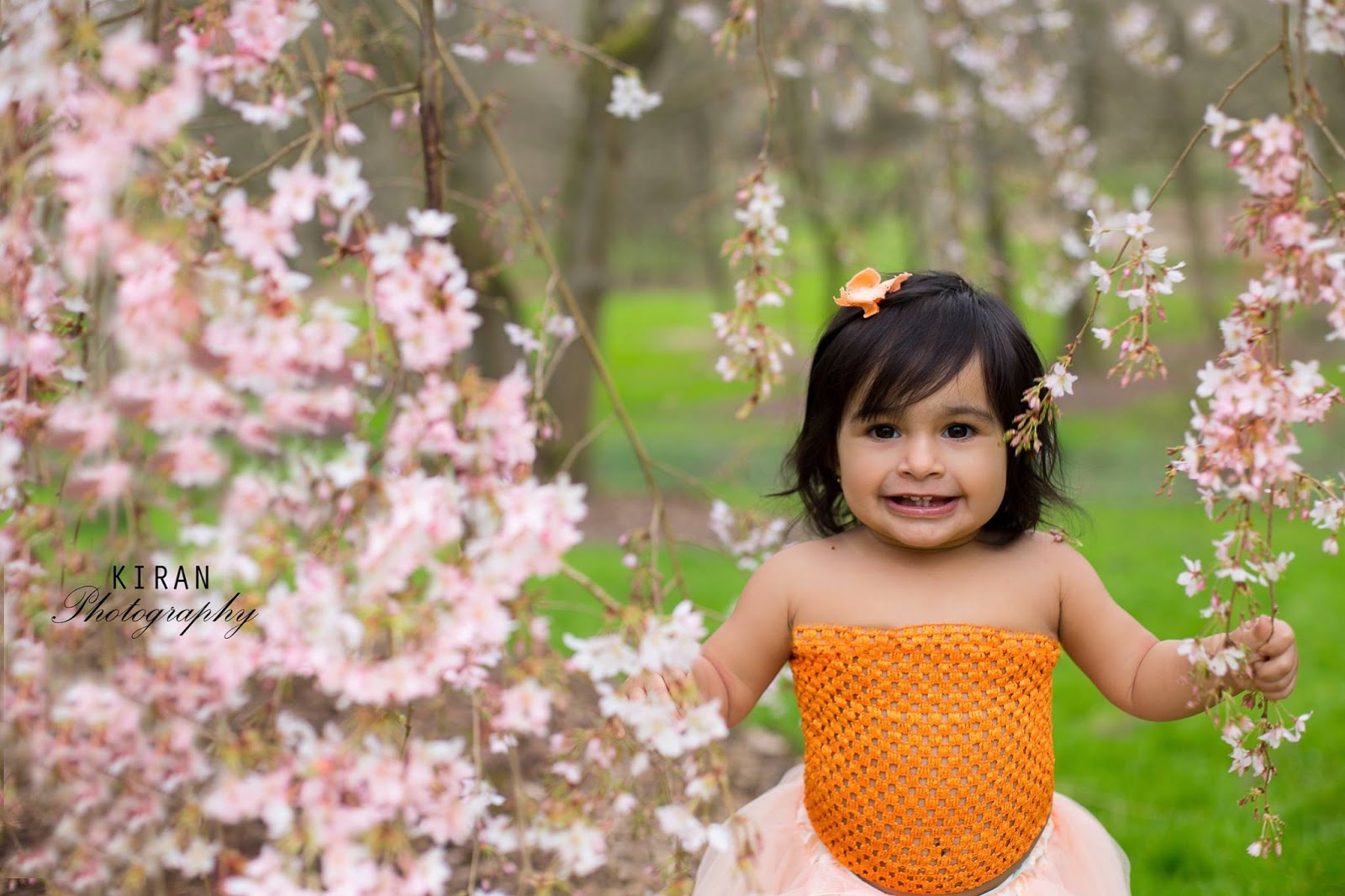 cherry blossoms, beautiful baby, baby pics, flowers and baby,  indian baby girl, baby girl, baby pictures, toddler pictures