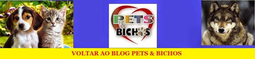 Retornar ao Blog Pets & Bichos