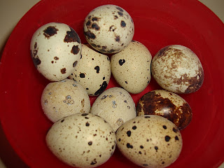 Health benefits of quail eggs