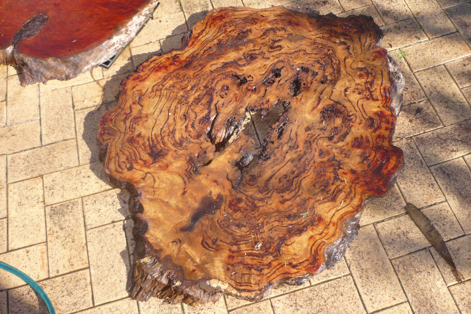  the love of wood Red Cedar and Blackbutt Burl?
