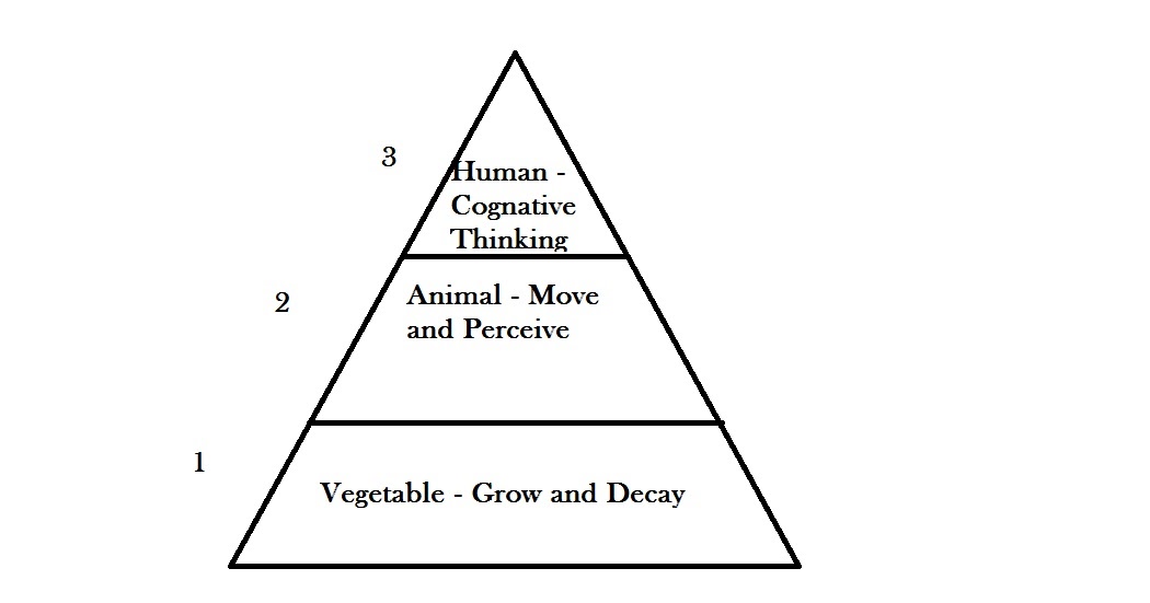 The Theory of James Aristotle Classification of Life