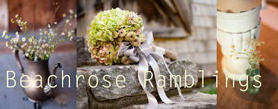 Beachrose Ramblings