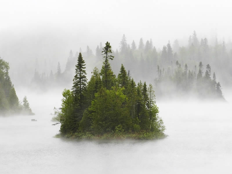 الطبيعة الساحرة Island+in+fog