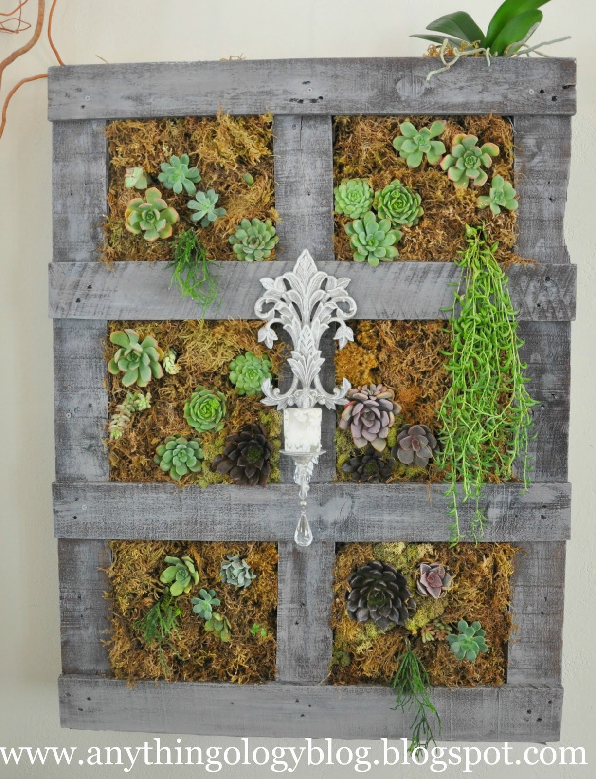 Indoor Vertical Succulent Garden A vertical garden out of a
