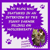 Interview By Feline Funny Farmers On Mousebreath
