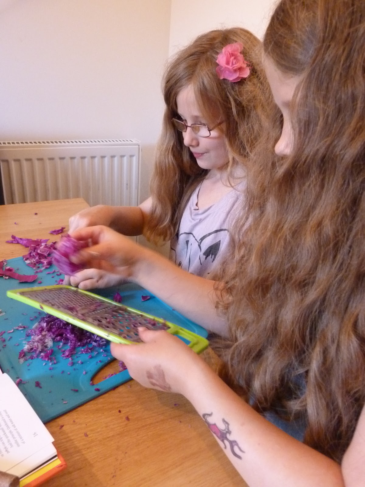 An Ordinary Life Science Project Red cabbage litmus test