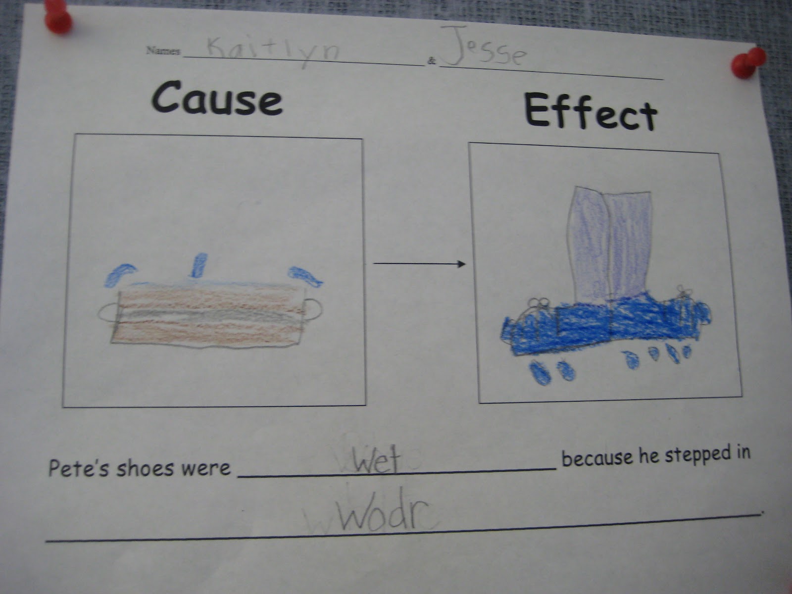Finally in First: Pete the Cat Cause & Effect