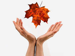 otoño otoño